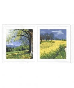 Gạch ốp trang trí 30×60 Hoàn Mỹ Perfetto 04.01.3055