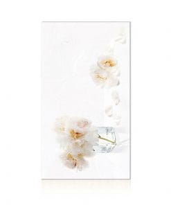 Gạch ốp trang trí 30×60 Hoàn Mỹ Perfetto 04.01.4113