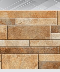 Gạch ốp tường 20×40 CMC DG 20406