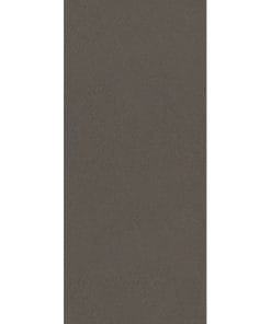 Gạch ốp tường 25×60 Đồng Tâm 2560TIENSA004