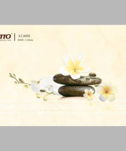 Gạch ốp tường 30×45 Vitto 6005