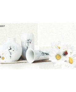 Gạch ốp tường 30×60 TTC Ceramic CDB36007