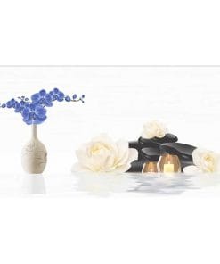 Gạch ốp tường 30×60 TTC Ceramic DB36069