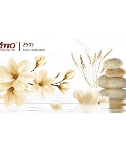 Gạch ốp tường 30×60 Vitto 2503