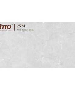 Gạch ốp tường 30×60 Vitto 2524