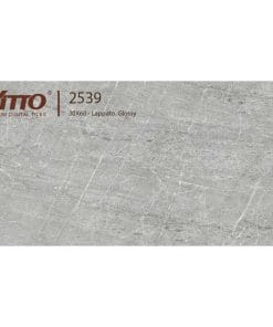 Gạch ốp tường 30×60 Vitto 2539