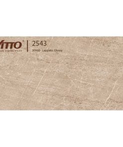 Gạch ốp tường 30×60 Vitto 2543