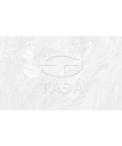 Gạch ốp tường 40×80 TASA 4901
