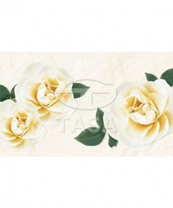 Gạch ốp tường 40×80 TASA 4908