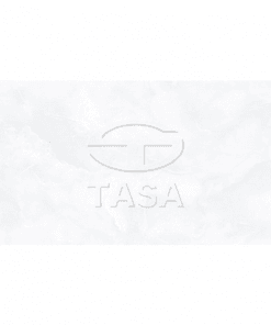 Gạch ốp tường 40×80 TASA 4909