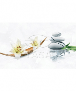 Gạch ốp tường 40×80 TASA 4910