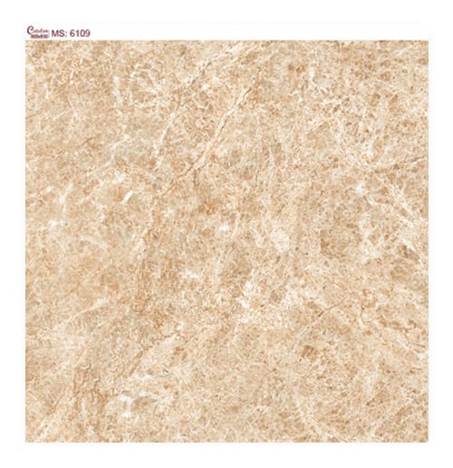 Gạch lát nền 60×60 Catalan 6109