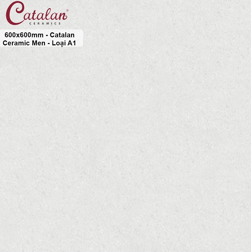 Gạch lát nền 60×60 Catalan 6119