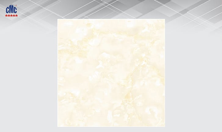 Gạch lát nền 60×60 CMC NR 6645