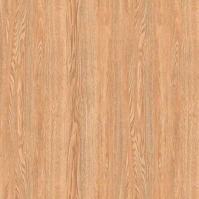 Gạch lát nền 60×60 TTC Ceramic CM66206