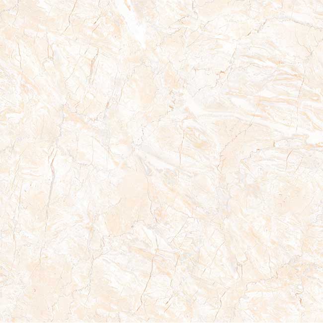 Gạch lát nền 60×60 TTC Ceramic CN66006