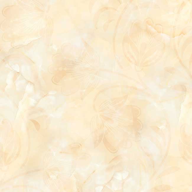 Gạch lát nền 60×60 TTC Ceramic CN66007