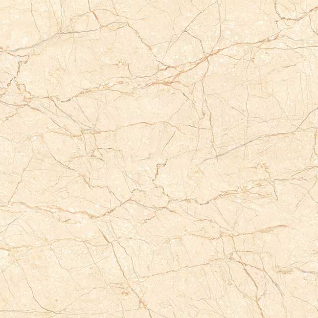 Gạch lát nền 60×60 TTC Ceramic CN66009