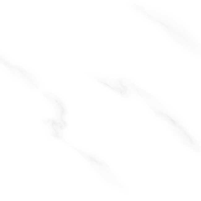 Gạch lát nền 60×60 TTC Ceramic CN66011