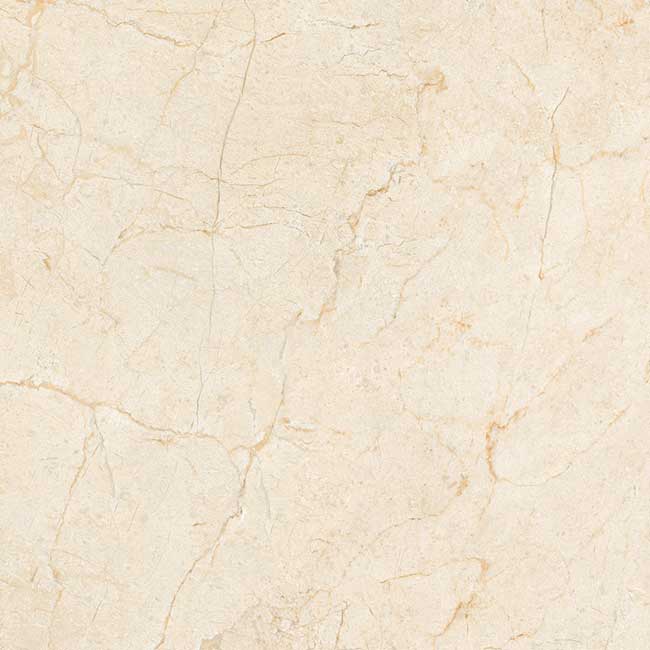 Gạch lát nền 60×60 TTC Ceramic CN66019