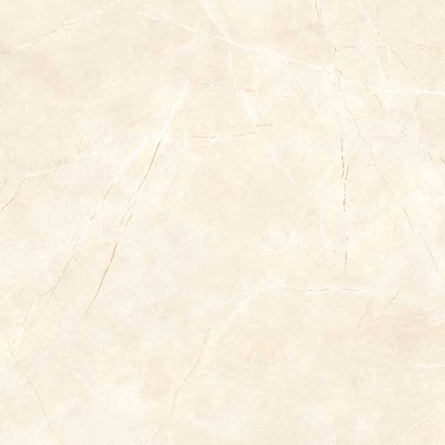 Gạch lát nền 60×60 TTC Ceramic CN66024