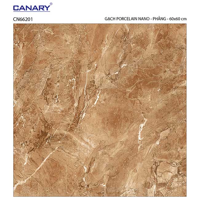 Gạch lát nền 60×60 TTC Ceramic CN66201
