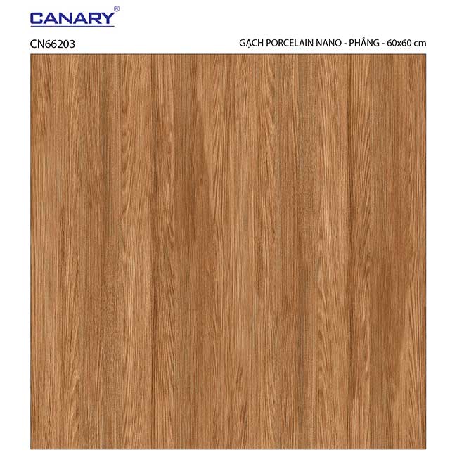 Gạch lát nền 60×60 TTC Ceramic CN66203