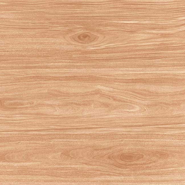 Gạch lát nền 60×60 TTC Ceramic CN66206