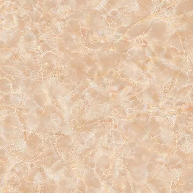 Gạch lát nền 60×60 TTC Ceramic CN66207