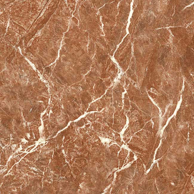 Gạch lát nền 60×60 TTC Ceramic CN66209