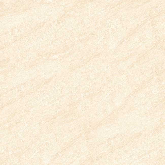 Gạch lát nền 60×60 TTC Ceramic CS66003