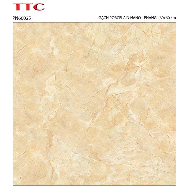 Gạch lát nền 60×60 TTC Ceramic PN66025