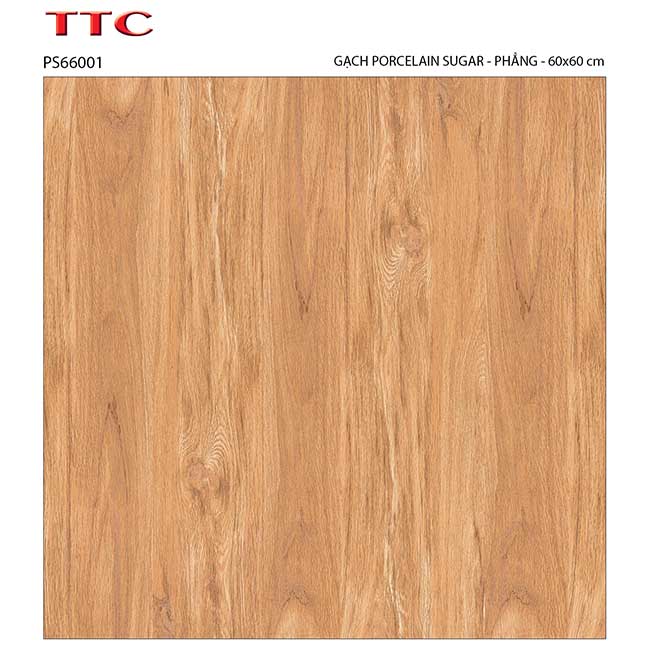 Gạch lát nền 60×60 TTC Ceramic PS66001