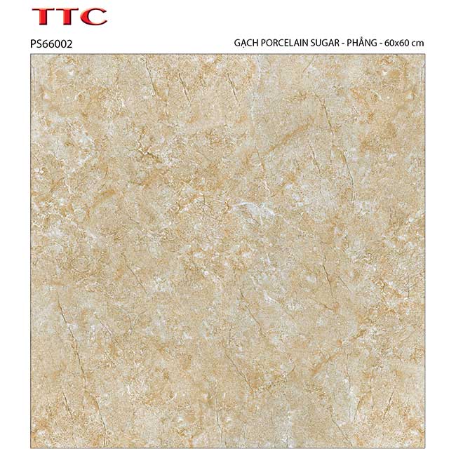 Gạch lát nền 60×60 TTC Ceramic PS66002