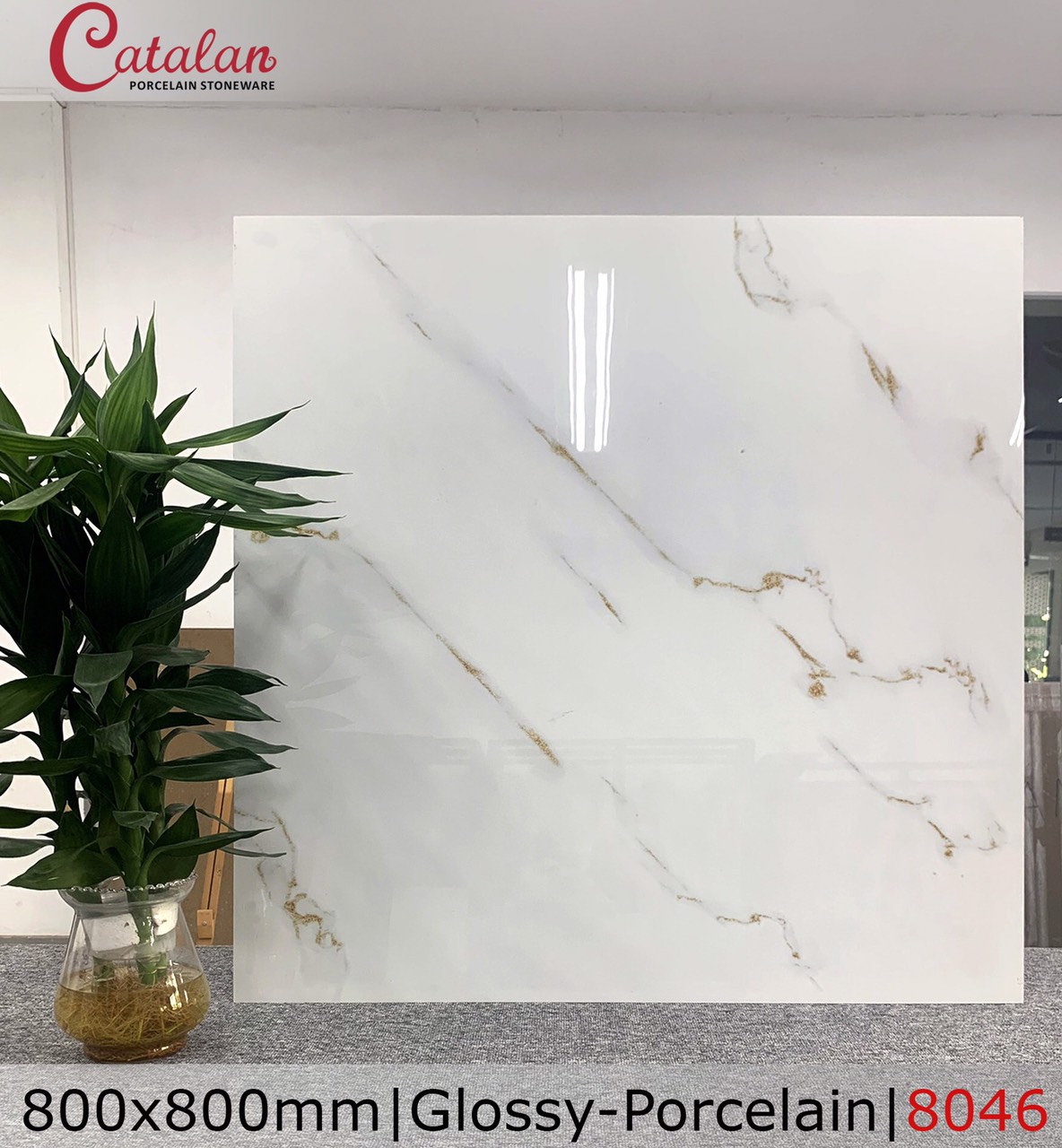 Gạch lát nền Catalan 80×80 khói vàng 8046