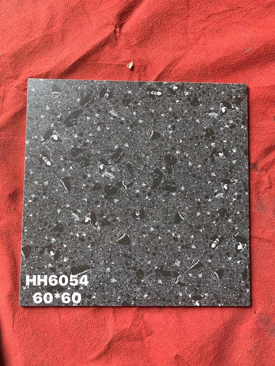 Gạch lát nền giả Terrazzo 600x600x9.5mm 6054