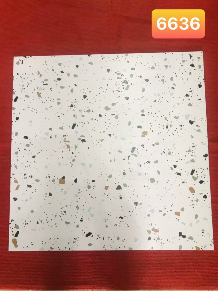 Gạch lát nền giả Terrazzo 60x60cm 6636