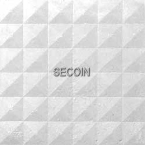 Gạch lát vỉa hè Secoin 25×25 OD-25-18