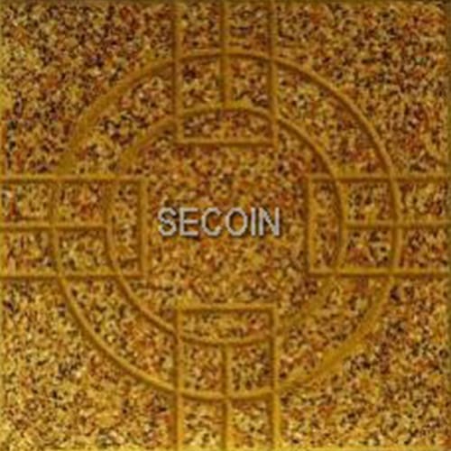 Gạch lát vỉa hè Secoin 30×30 OD-30-140