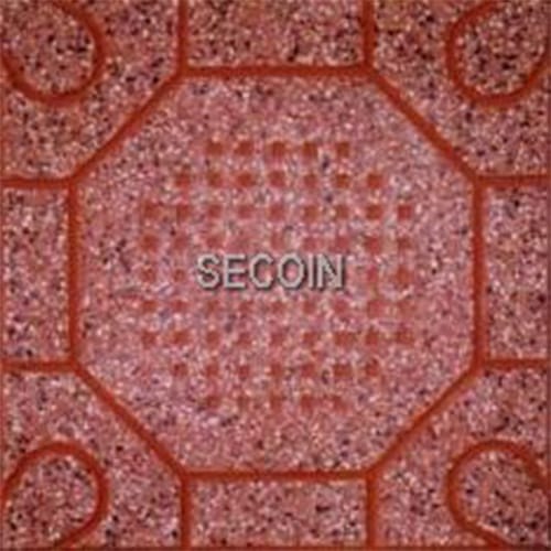 Gạch lát vỉa hè Secoin 30×30 OD-30-5