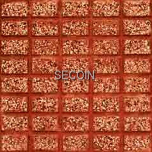 Gạch lát vỉa hè Secoin 30×30 OD-30-81