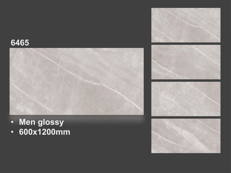 Gạch nhập khẩu Ấn Độ 60x120cm 6465