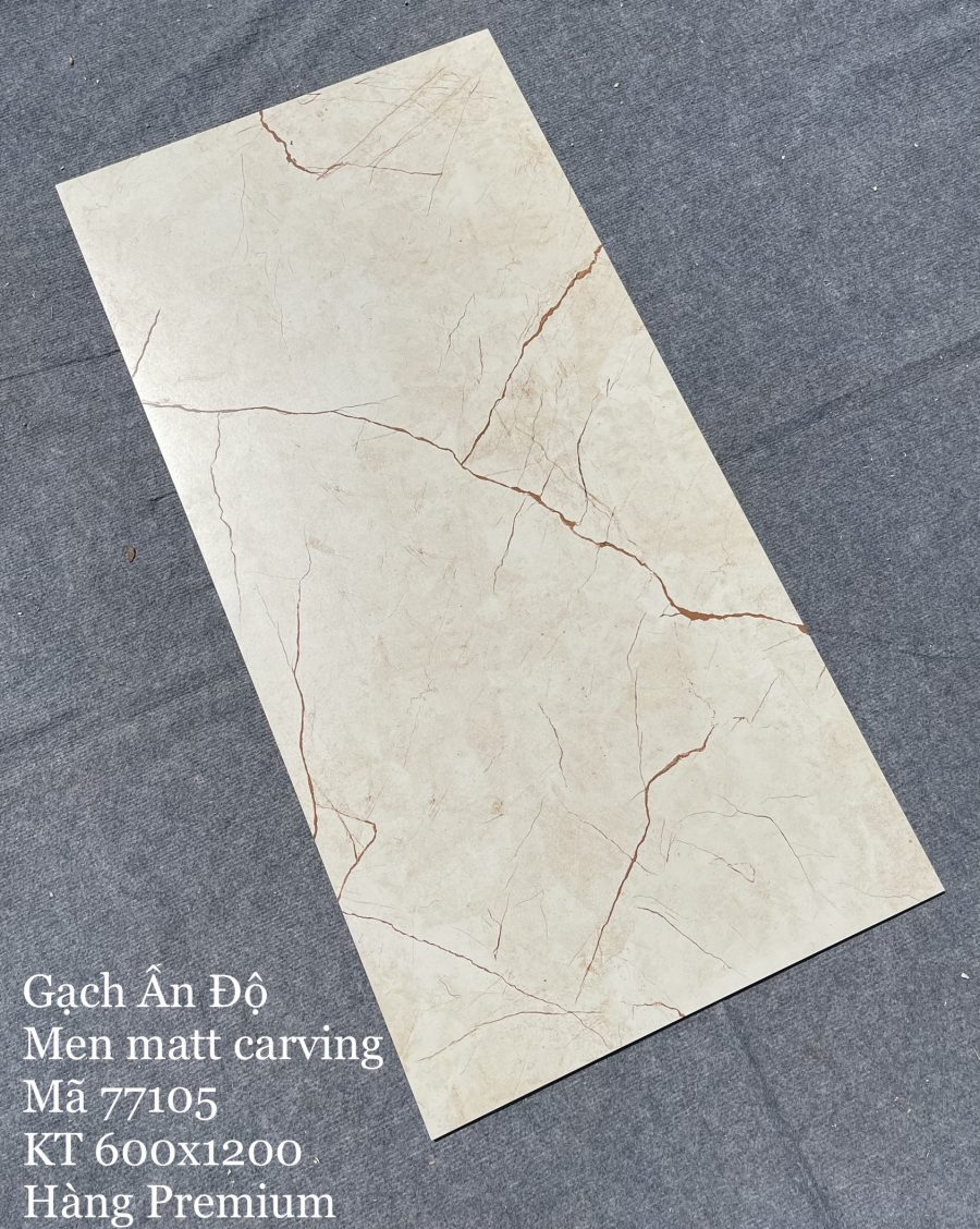 Gạch nhập khẩu Ấn Độ 60x120cm 77105
