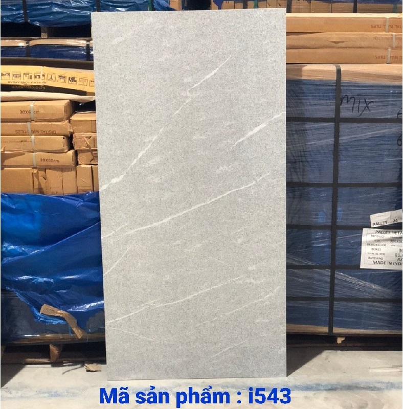 Gạch nhập khẩu Ấn Độ 60x120cm ghi phẩy trắng I543
