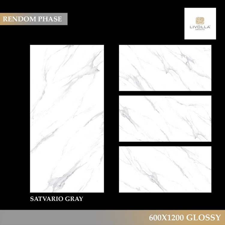 Gạch nhập khẩu Ấn Độ 60x120cm SATVARIO GRAY
