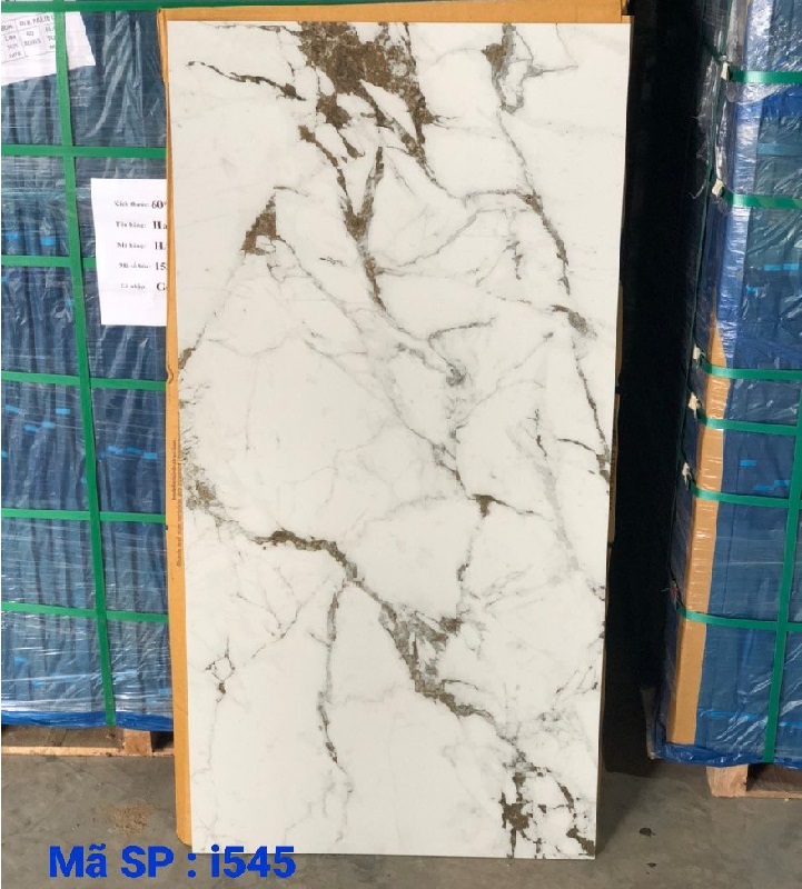 Gạch nhập khẩu Ấn Độ 60x120cm trắng vân mây I545