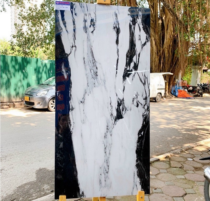 Gạch nhập khẩu Ấn Độ 60x120cm vân đá trắng đen HM662