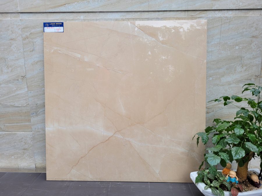 Gạch nhập khẩu Ấn Độ 80x80cm Glossy Airmari Brow