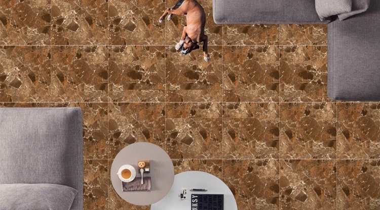 Gạch nhập khẩu Ấn Độ 80x80cm High Glossy ITALY STONE BRONZE