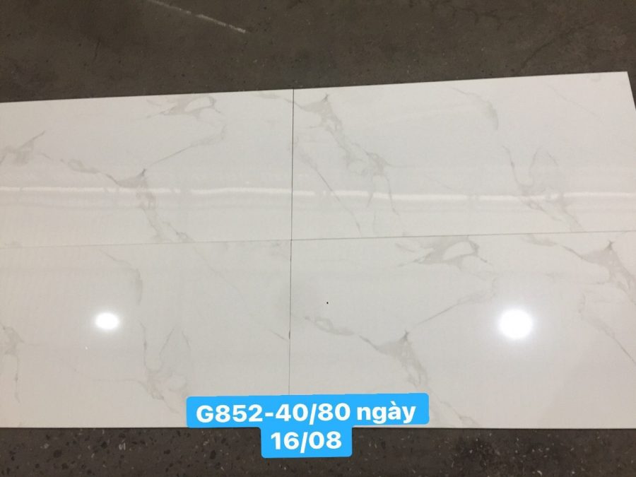 Gạch nhập khẩu Trung Quốc 40x80cm HM852